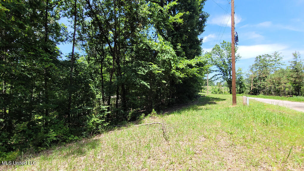 Rowsey Road, Water Valley, Mississippi image 14
