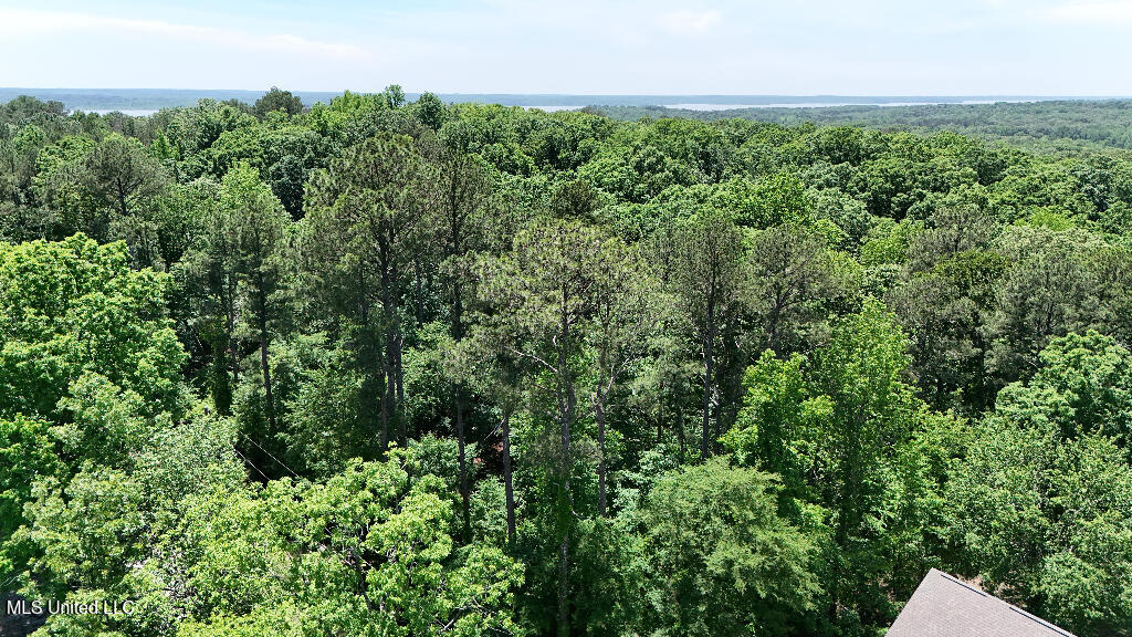 Rowsey Road, Water Valley, Mississippi image 18