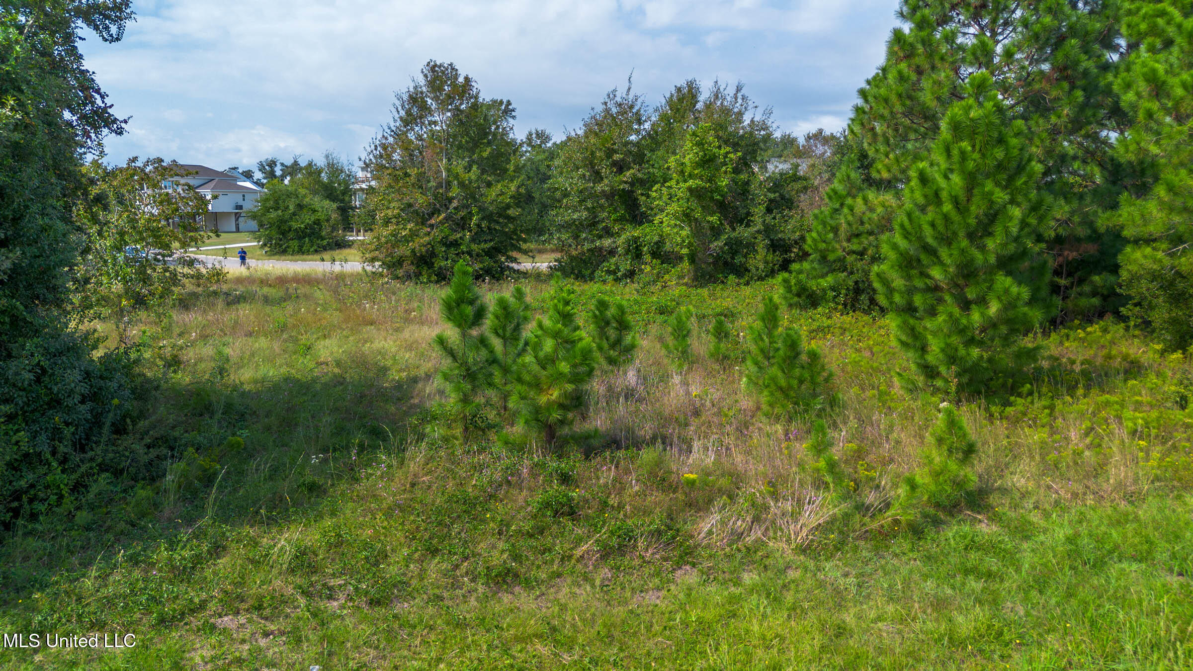 114 Sea Oaks Boulevard, Long Beach, Mississippi image 5