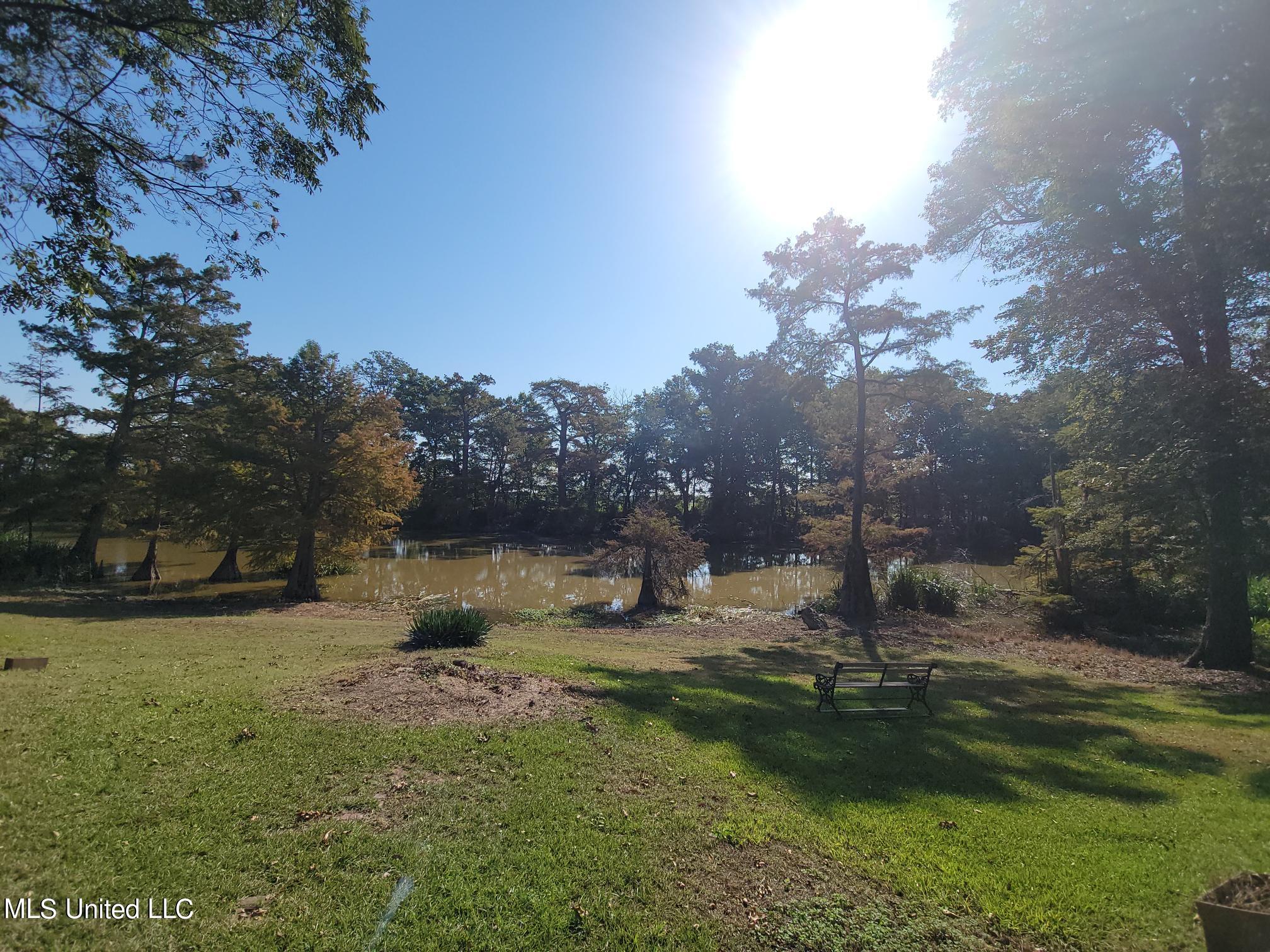 5675 Dubbs Road, Dundee, Mississippi image 49