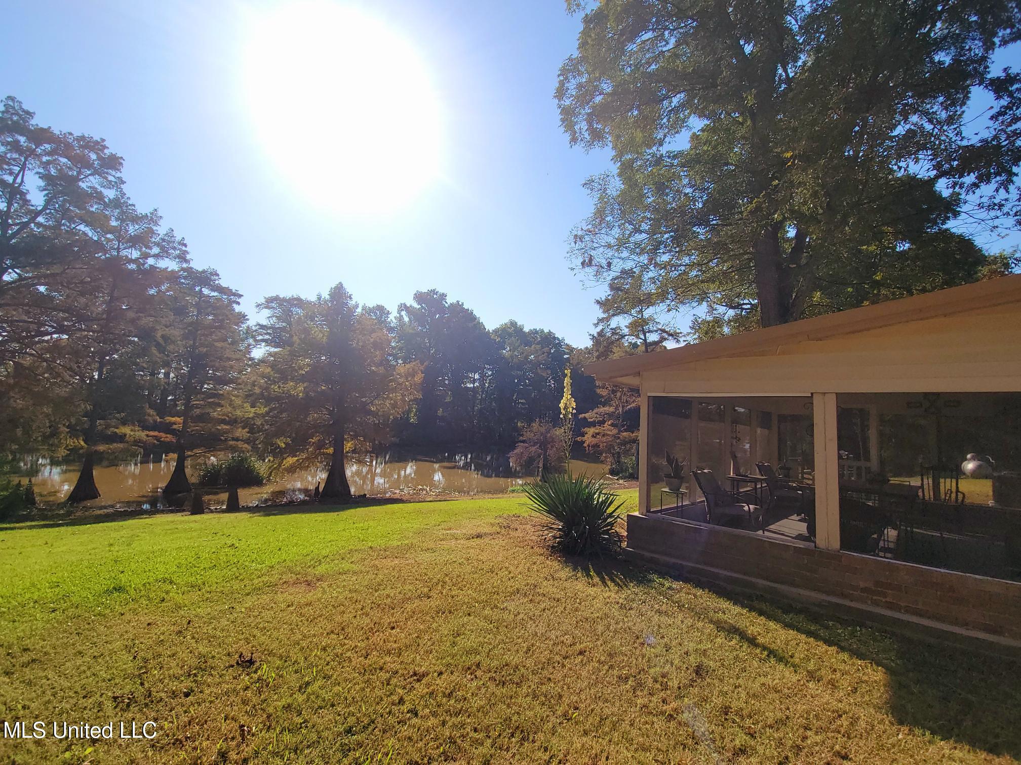 5675 Dubbs Road, Dundee, Mississippi image 33