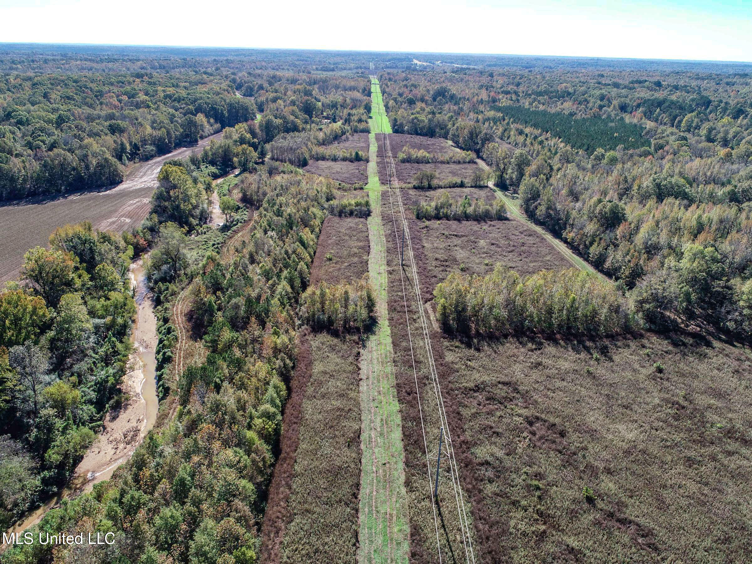 Shiloh Road, Courtland, Mississippi image 9