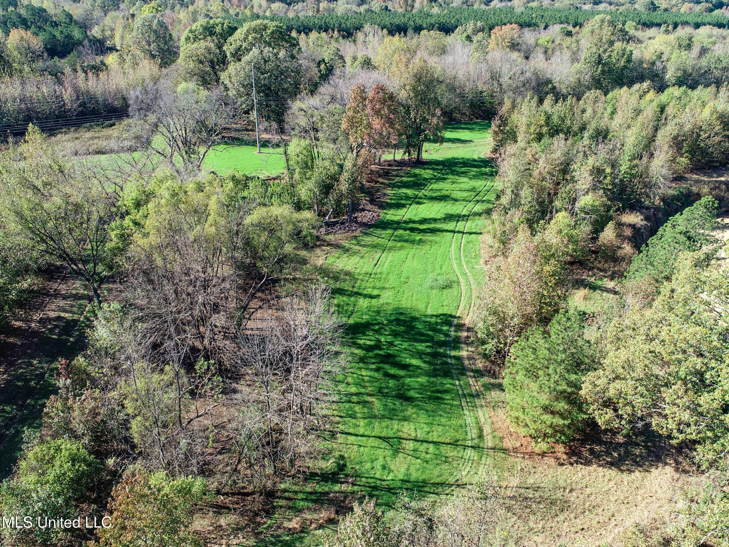 Shiloh Road, Courtland, Mississippi image 45