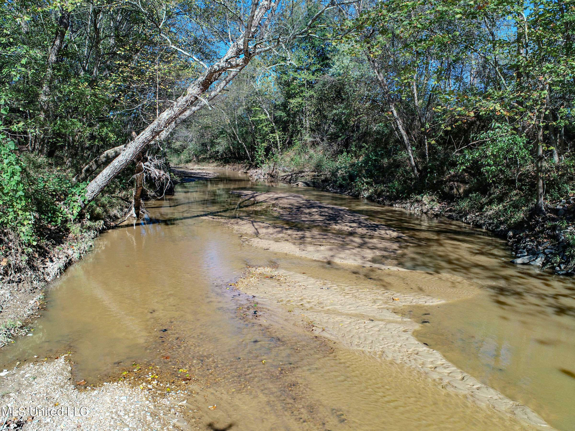 Shiloh Road, Courtland, Mississippi image 38