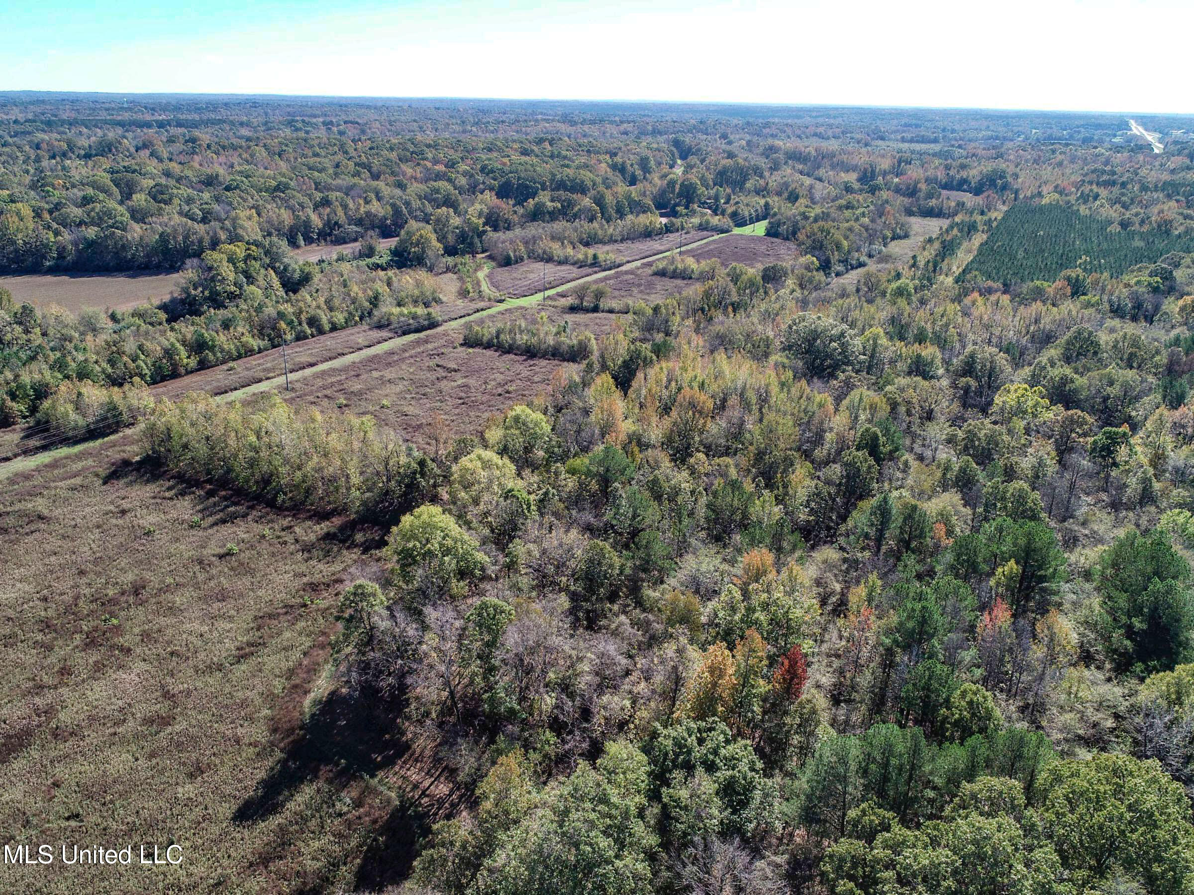 Shiloh Road, Courtland, Mississippi image 15