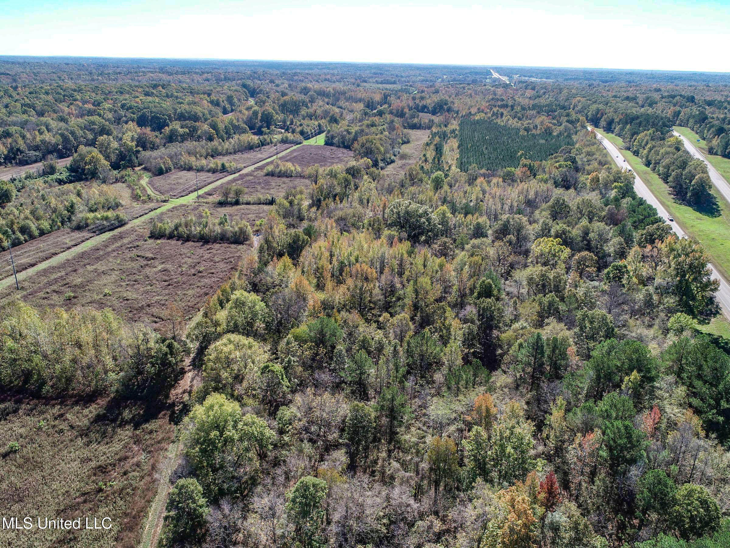 Shiloh Road, Courtland, Mississippi image 16