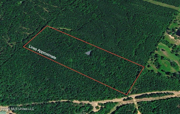 HAMILTON RD, PRENTISS, MS 39474 - Image 7fcc662dc5a1f71ecefc64b7945d9715/380894877