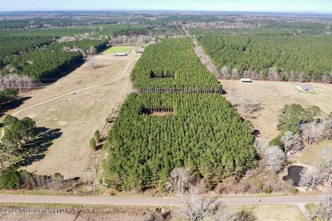 Vacant Land For Sale - 609 Barker Road<br/> Morton, MS 39117