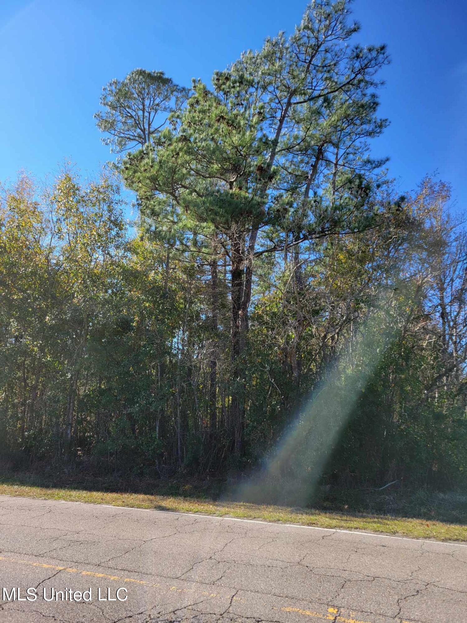 Lakeshore Road, Bay Saint Louis, Mississippi image 4