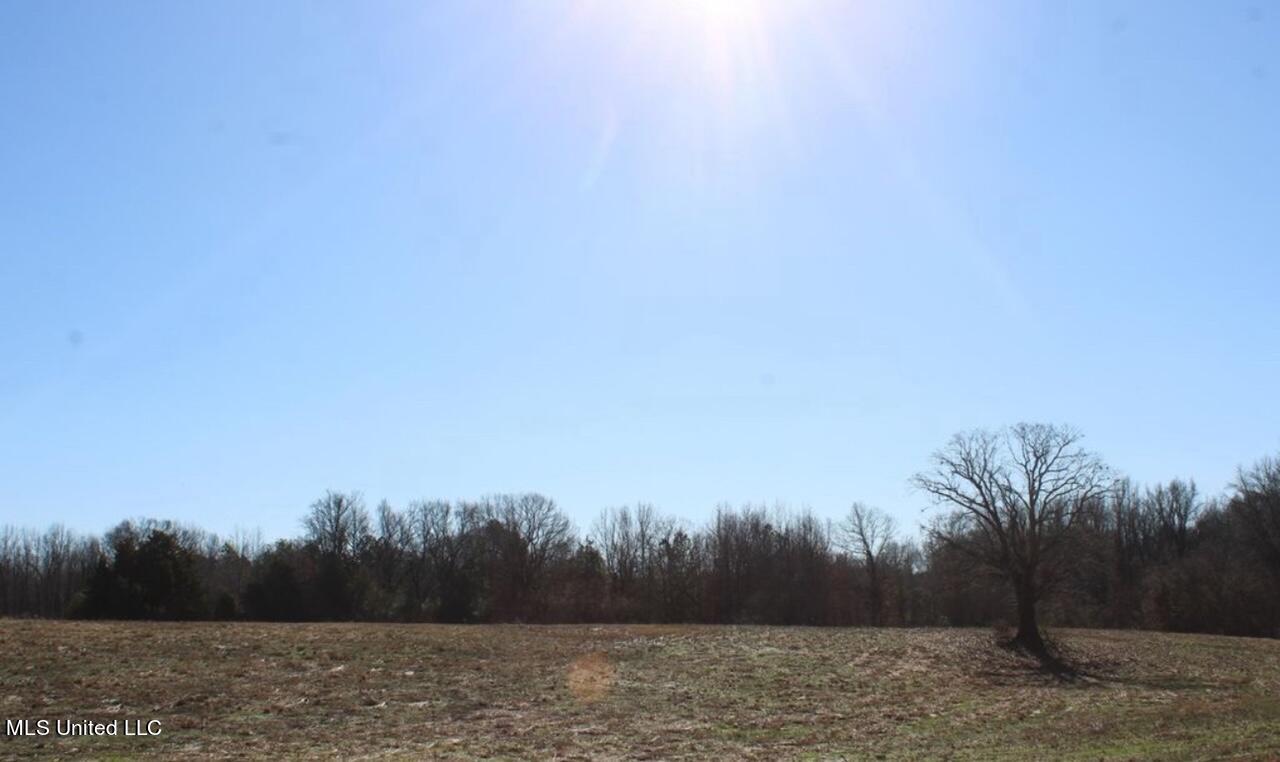 7002 N Hwy 301, Lake Cormorant, Mississippi image 1
