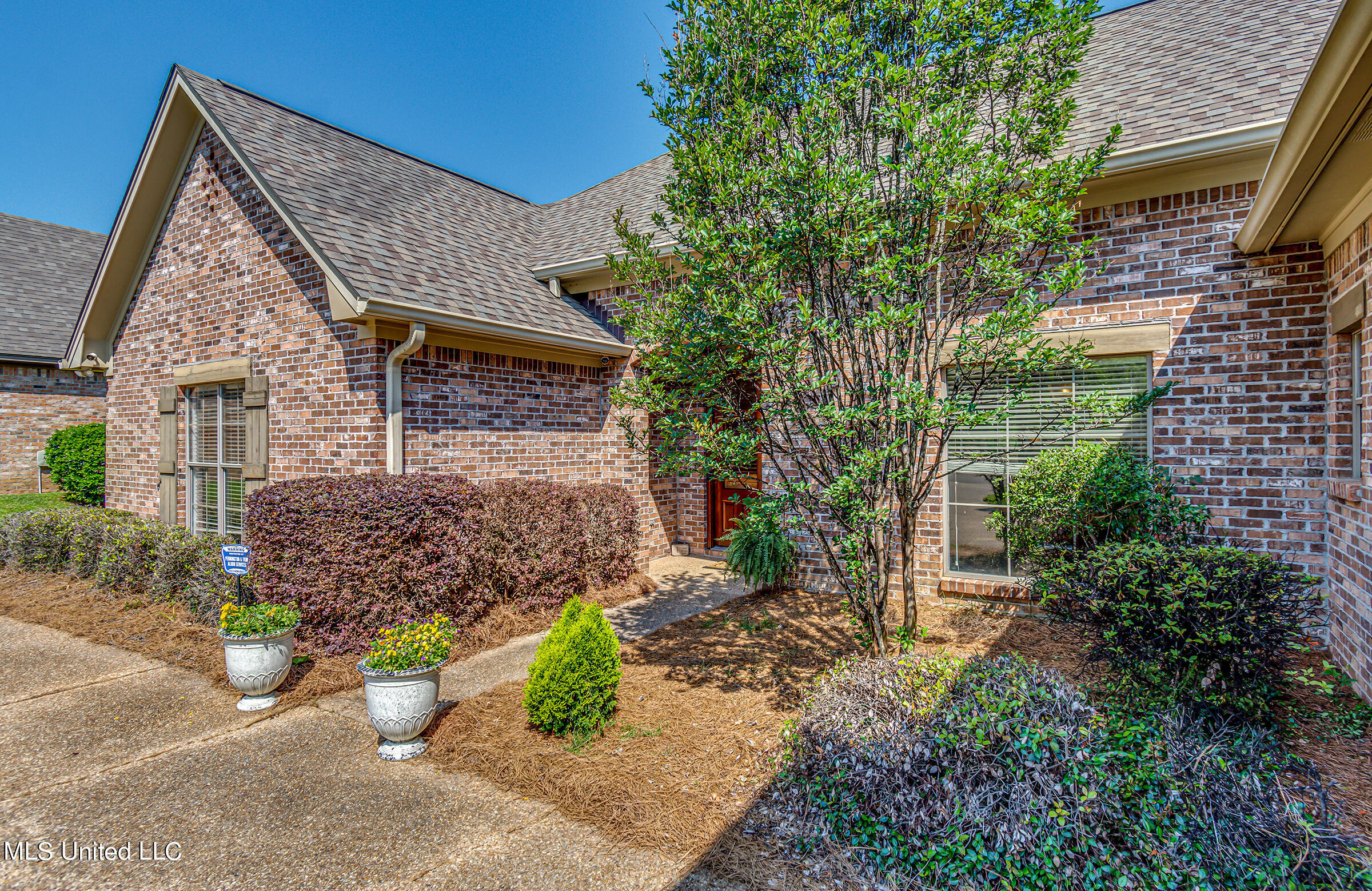 865 Wellington Way, Madison, Mississippi image 4