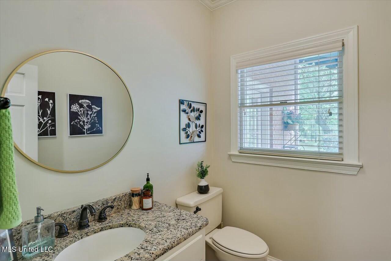 116 Bridlewood Drive, Brandon, Mississippi image 16