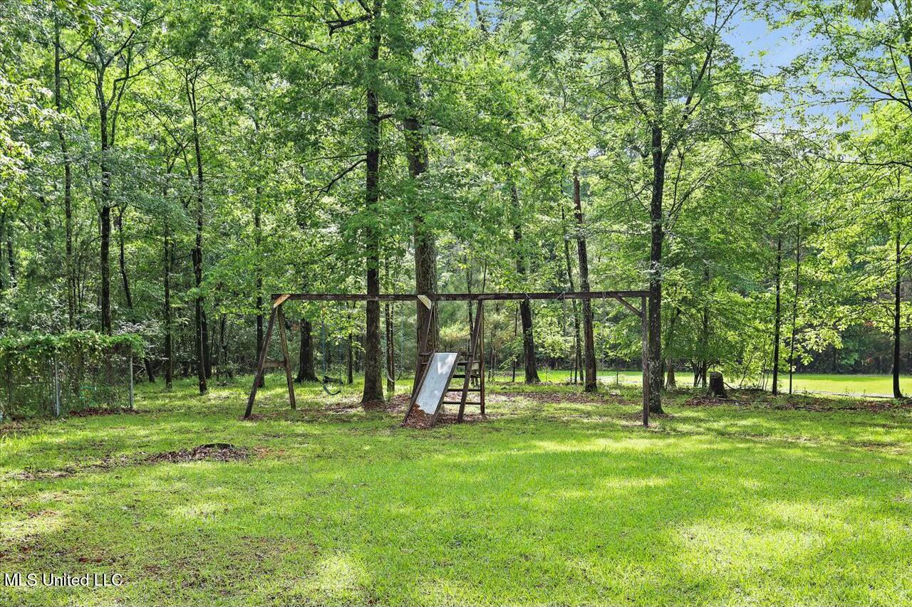 116 Bridlewood Drive, Brandon, Mississippi image 49
