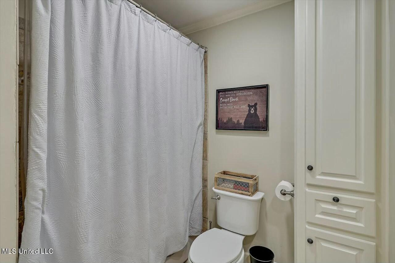 116 Bridlewood Drive, Brandon, Mississippi image 42