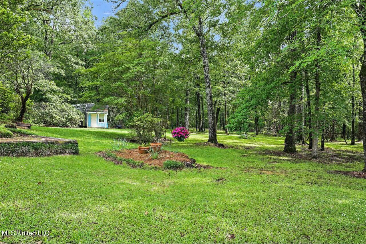 116 Bridlewood Drive, Brandon, Mississippi image 45