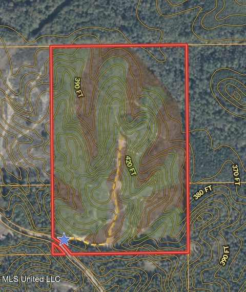 Vacant Land For Sale - 001 County Road 4022<br/> Attala County, Sallis, MS 39160