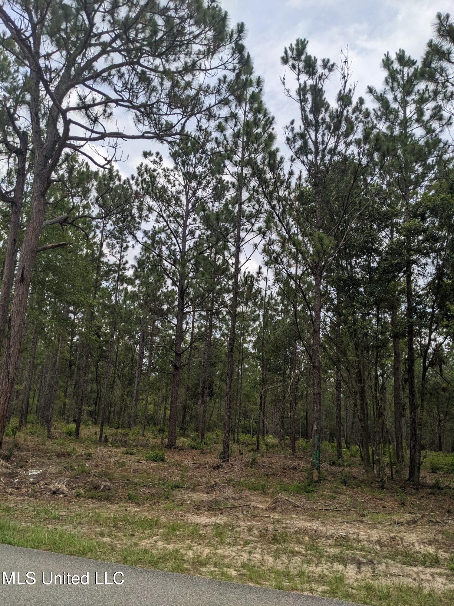 Tbd Standard Cemetery Road, Kiln, Mississippi image 8