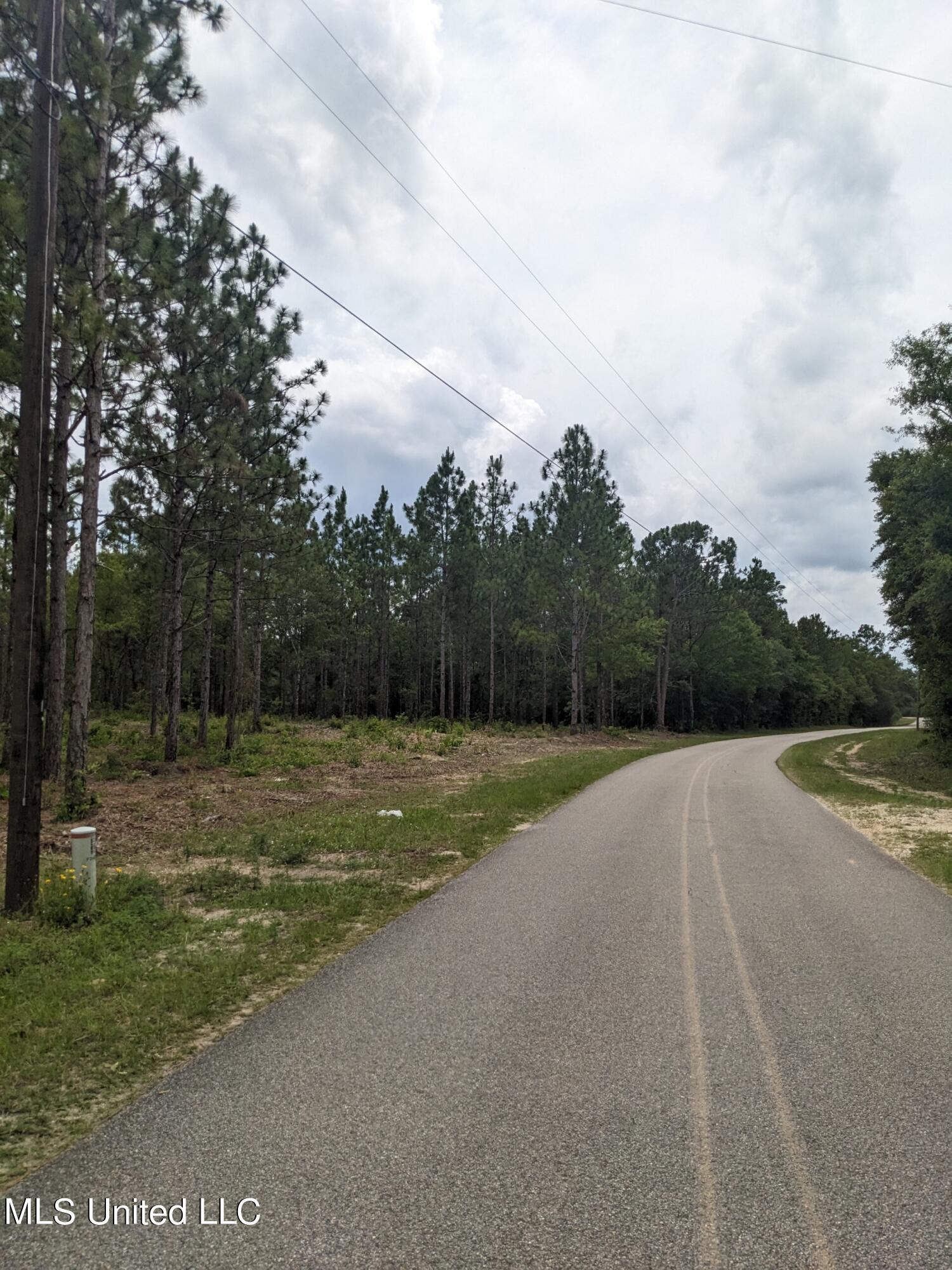 Tbd Standard Cemetery Road, Kiln, Mississippi image 7