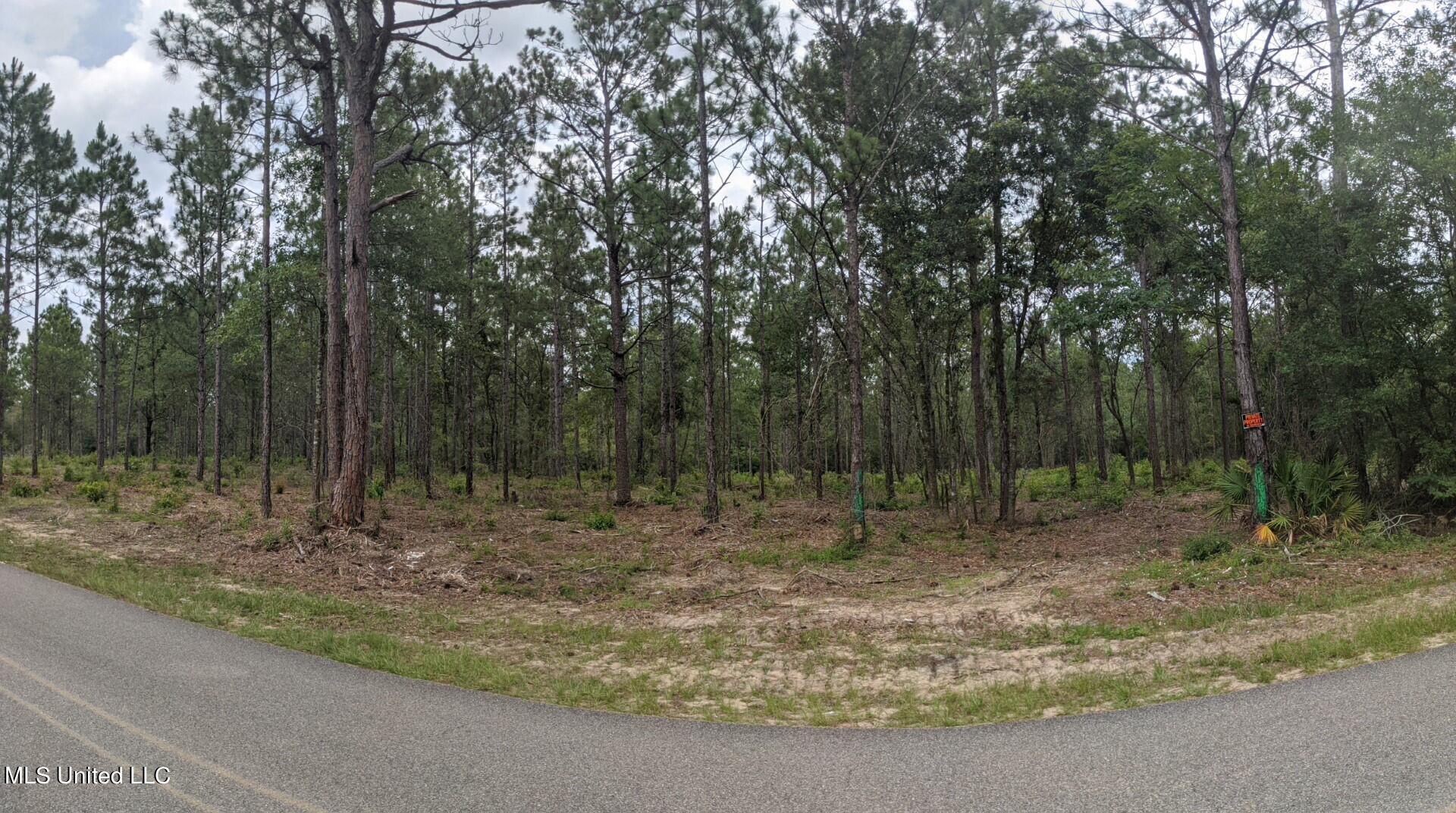 Tbd Standard Cemetery Road, Kiln, Mississippi image 1