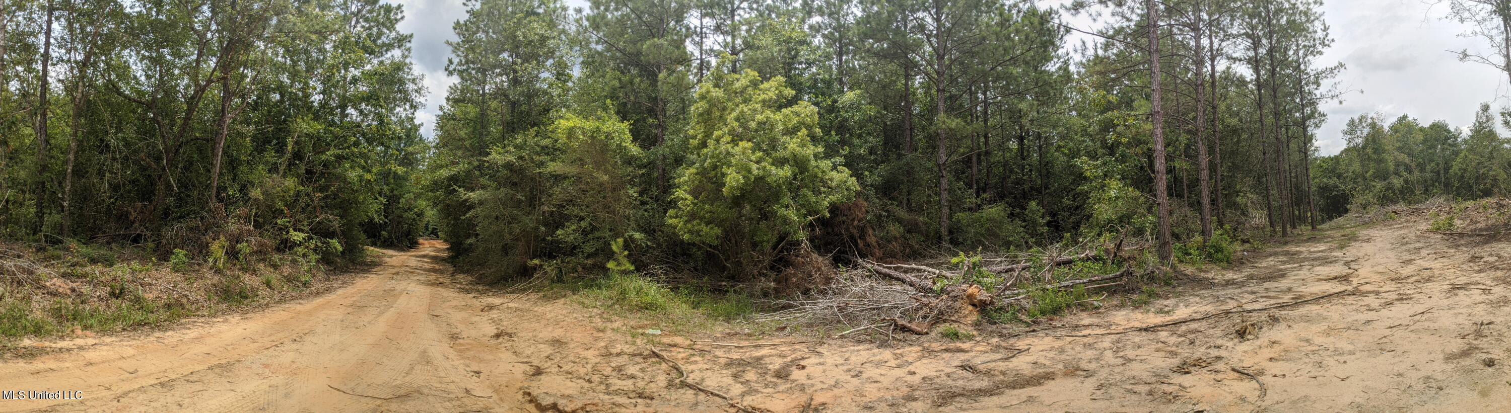 Tbd Standard Cemetery Road, Kiln, Mississippi image 2