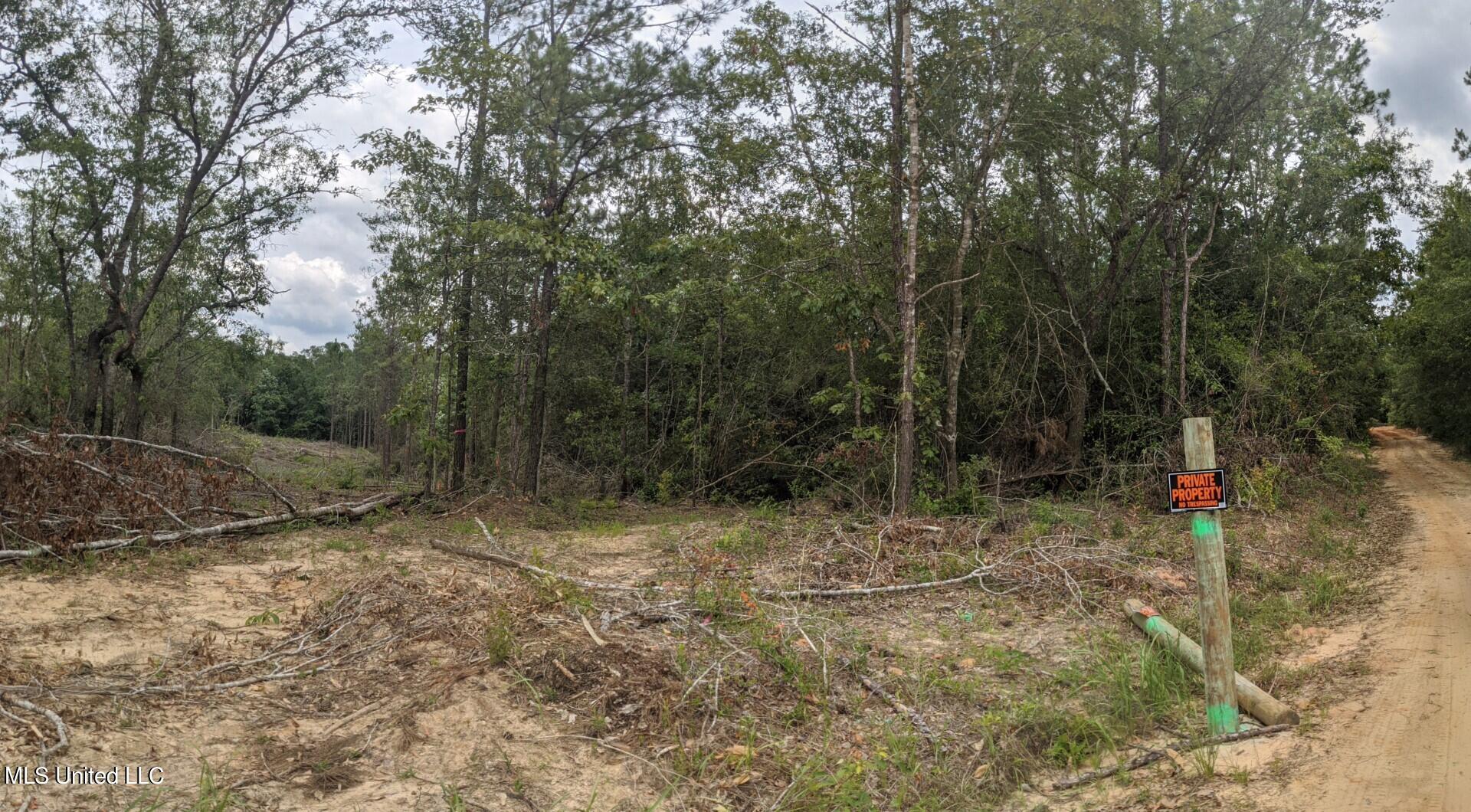 Tbd Standard Cemetery Road, Kiln, Mississippi image 4