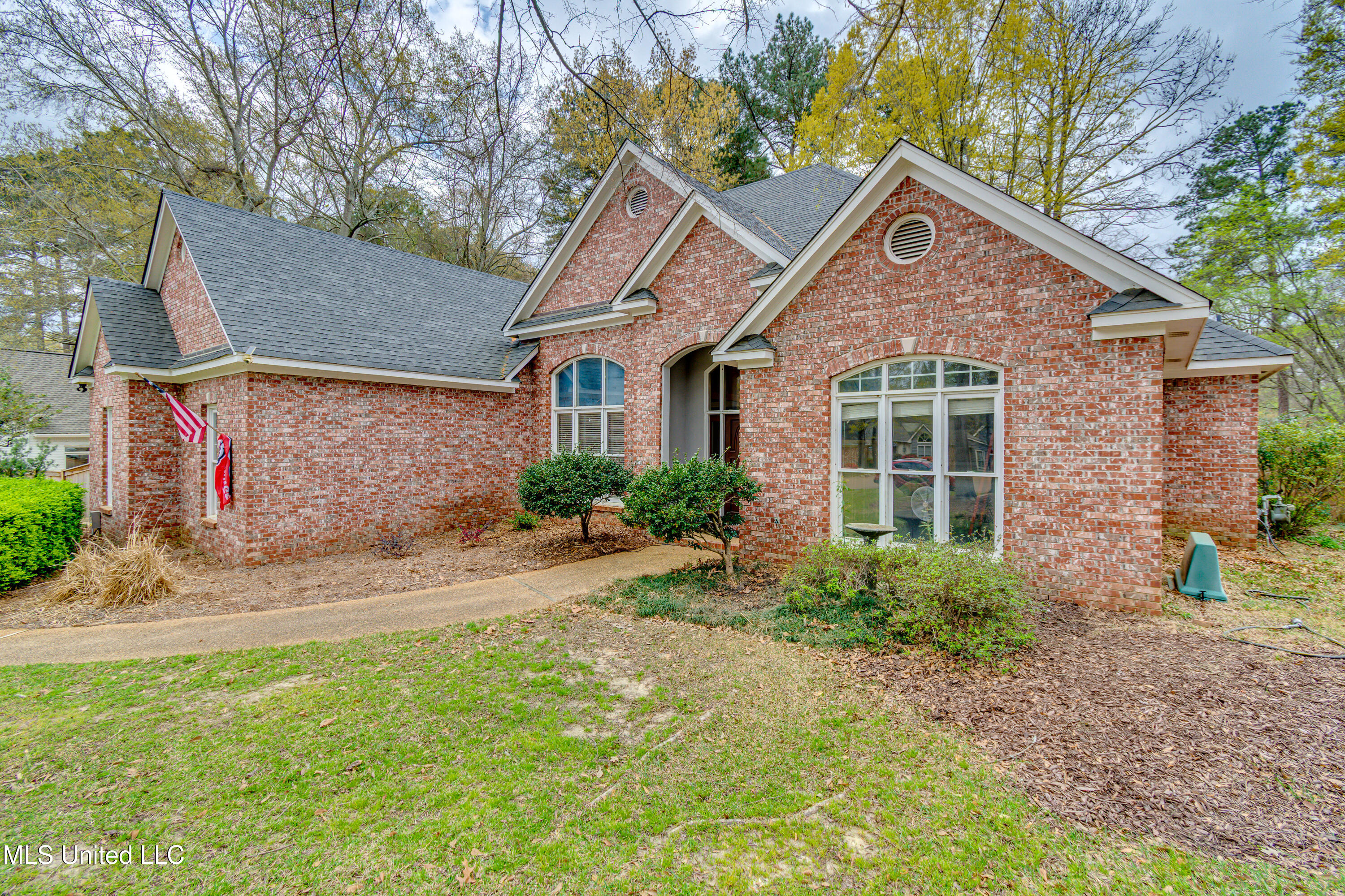 113 Muscadine Hill, Madison, Mississippi image 4