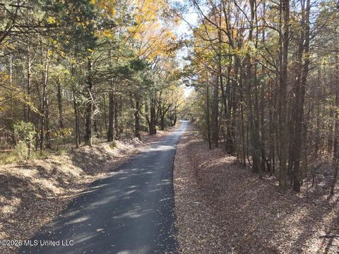 Vacant Land For Sale - Fowler Road<br/> Vaughan, MS 39179