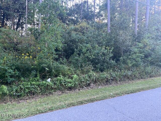 Lot 21 Elm Avenue, Ocean Springs, Mississippi image 2