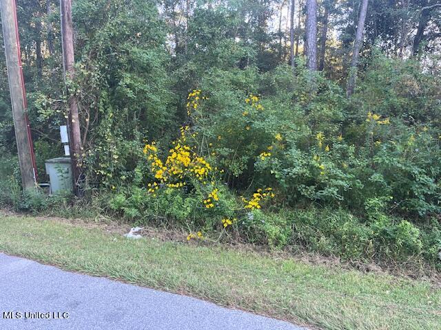 Lot 21 Elm Avenue, Ocean Springs, Mississippi image 5