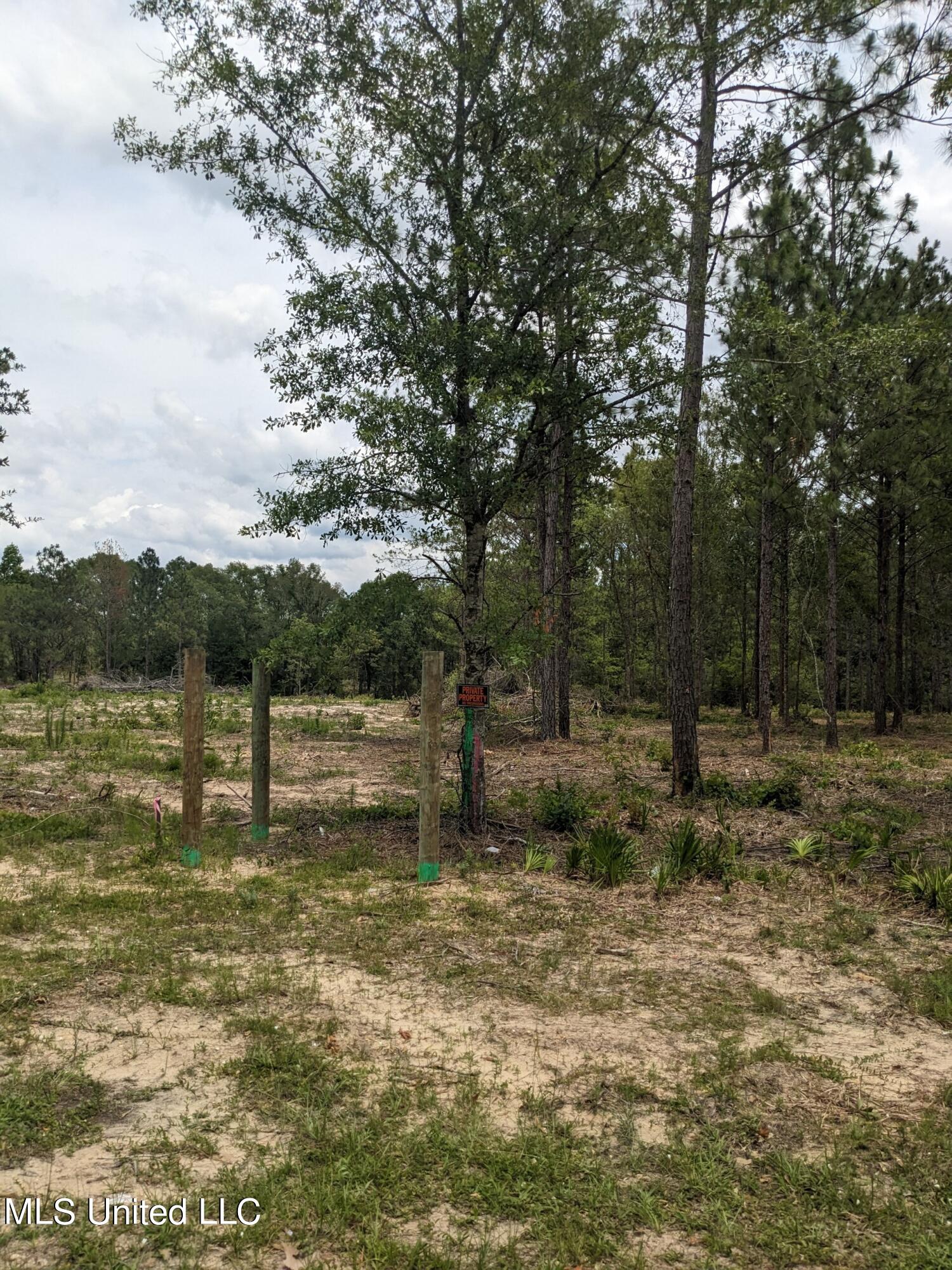 Standard Cemetery Road, Kiln, Mississippi image 5