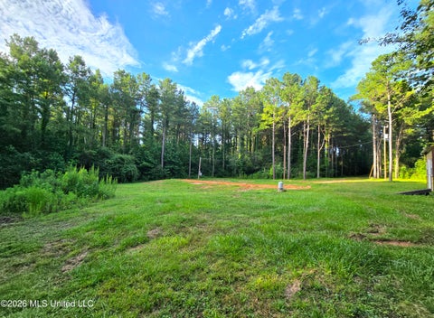 Vacant Land For Sale - 1189 Shady Grove Road<br/> Osyka, MS 39657