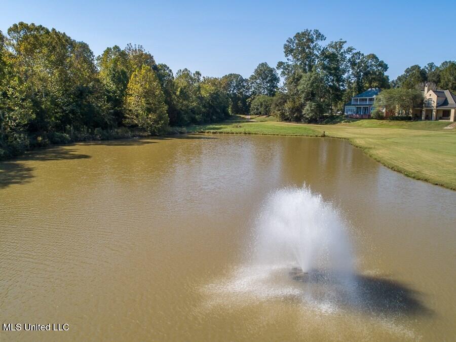 21 Bluff Hills Place, Natchez, Mississippi image 25