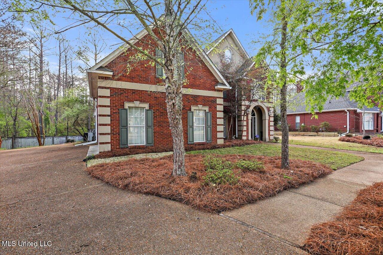 291 Woodland Brook Drive, Madison, Mississippi image 2