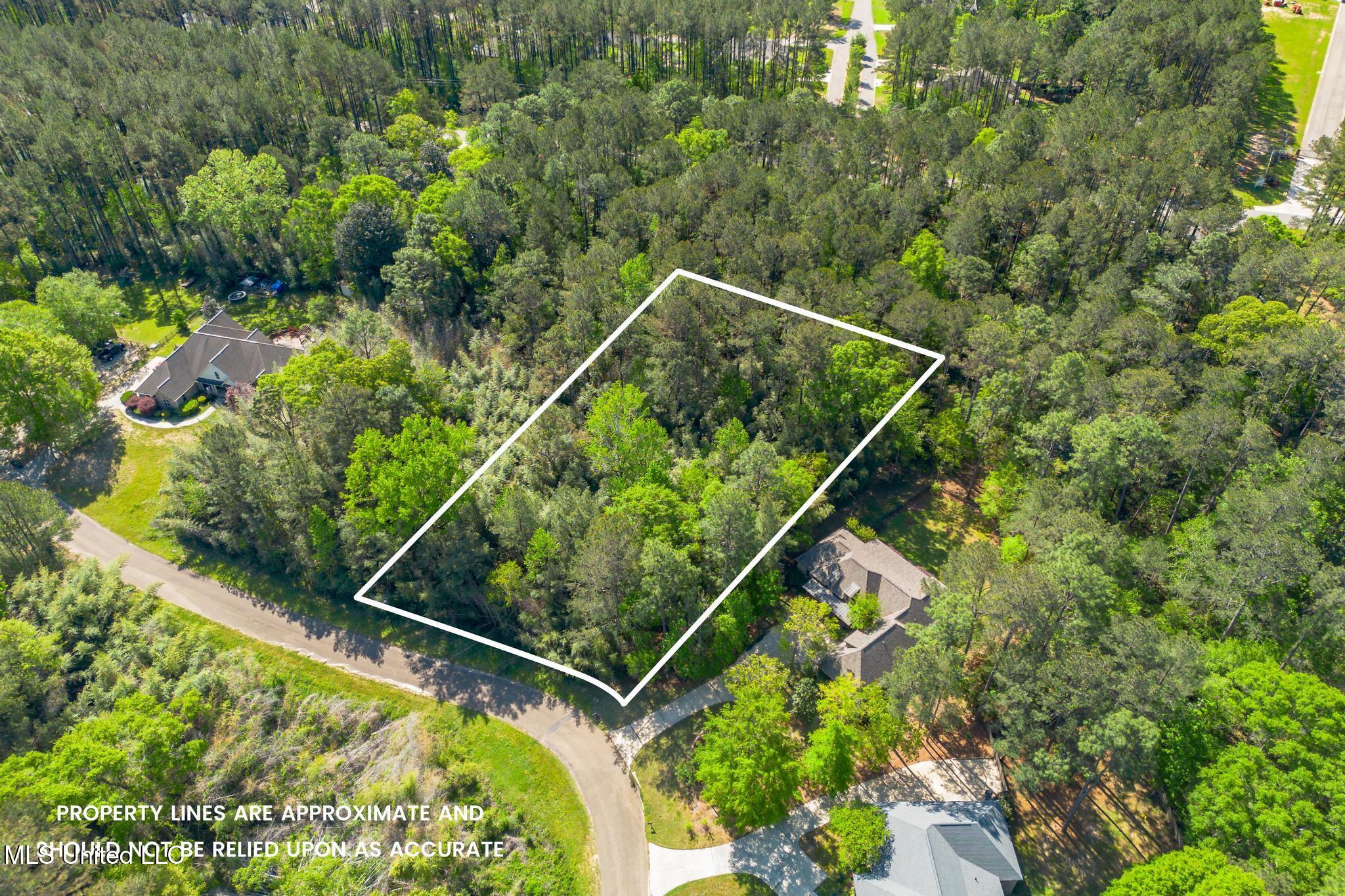 00 Steep Hollow, Hattiesburg, Mississippi image 7
