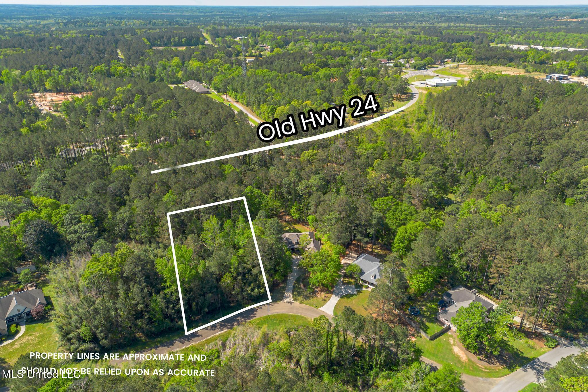 00 Steep Hollow, Hattiesburg, Mississippi image 4