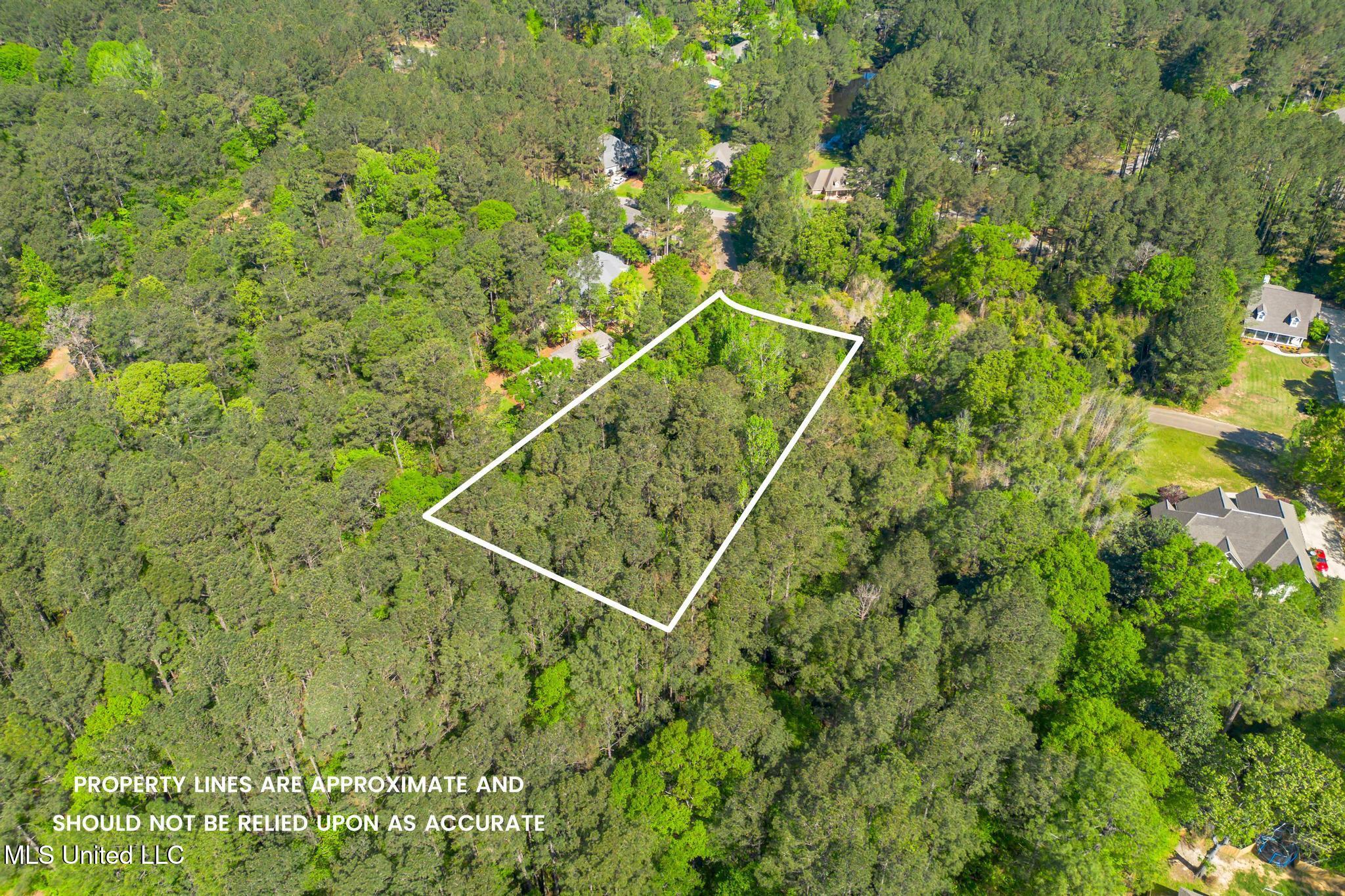00 Steep Hollow, Hattiesburg, Mississippi image 11