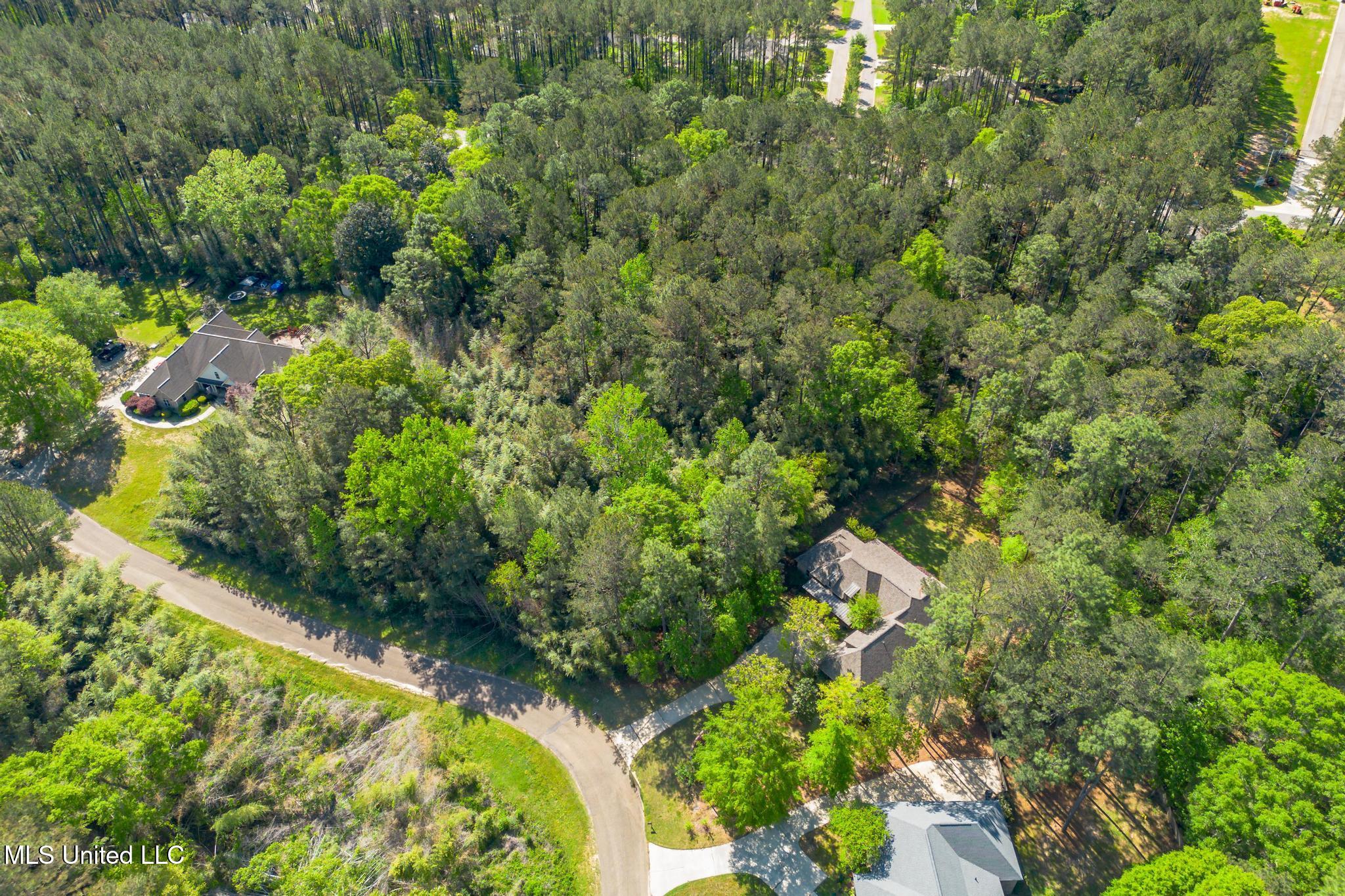 00 Steep Hollow, Hattiesburg, Mississippi image 8