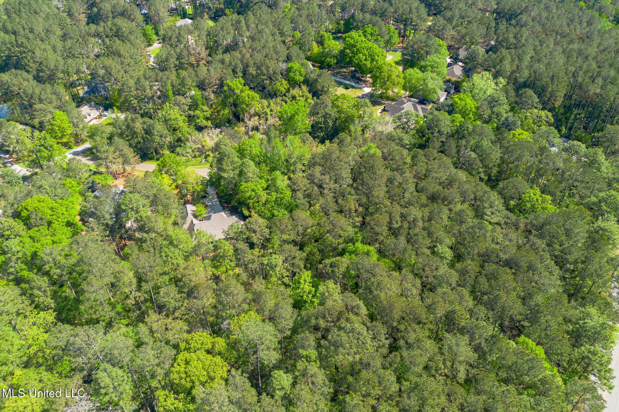 00 Steep Hollow, Hattiesburg, Mississippi image 10
