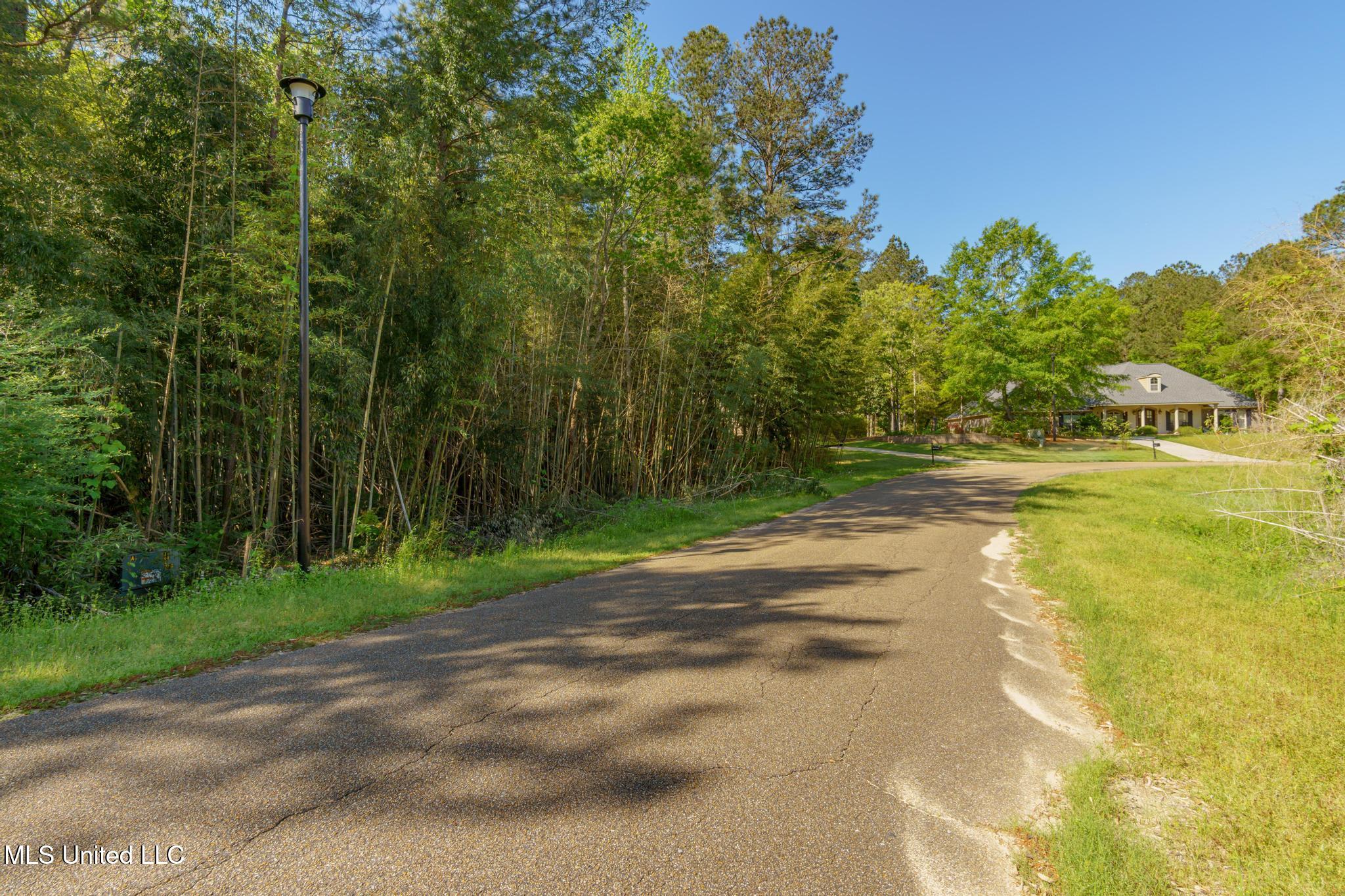 00 Steep Hollow, Hattiesburg, Mississippi image 14