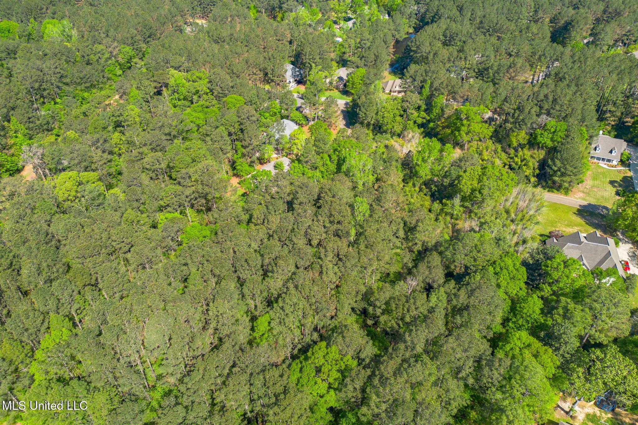 00 Steep Hollow, Hattiesburg, Mississippi image 12