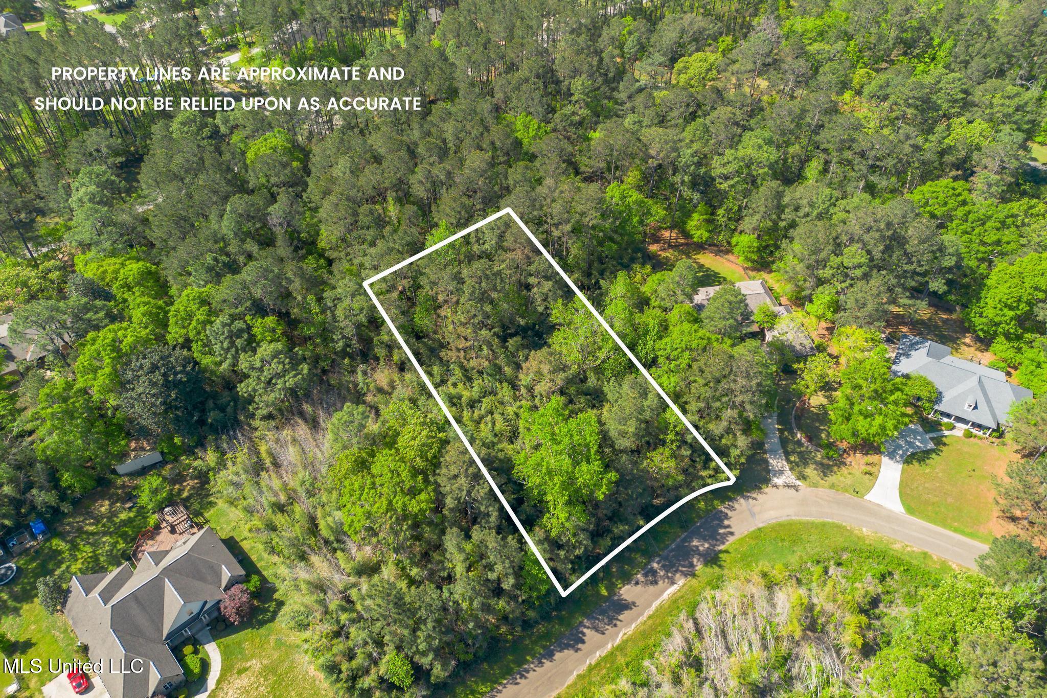 00 Steep Hollow, Hattiesburg, Mississippi image 2