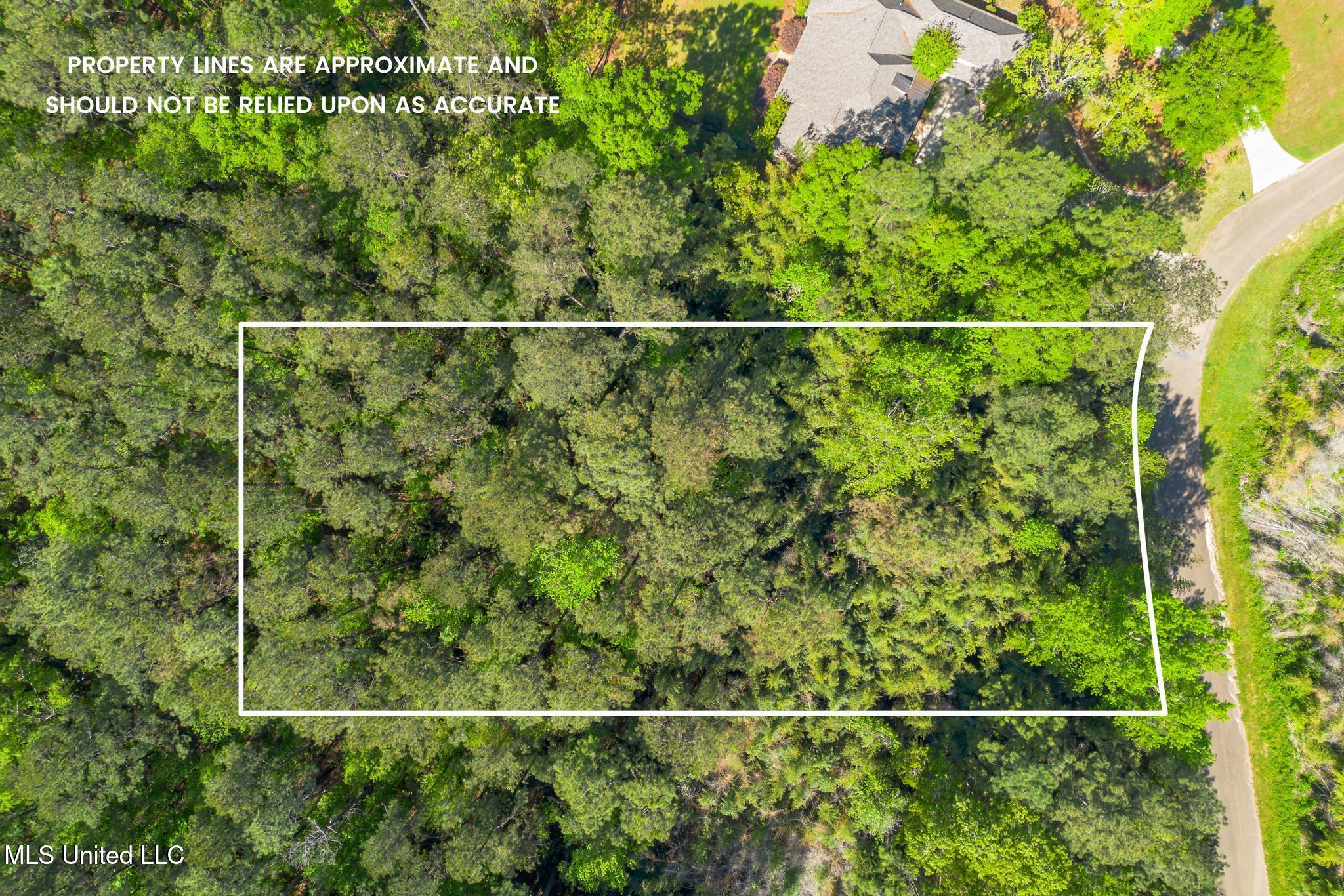 00 Steep Hollow, Hattiesburg, Mississippi image 1