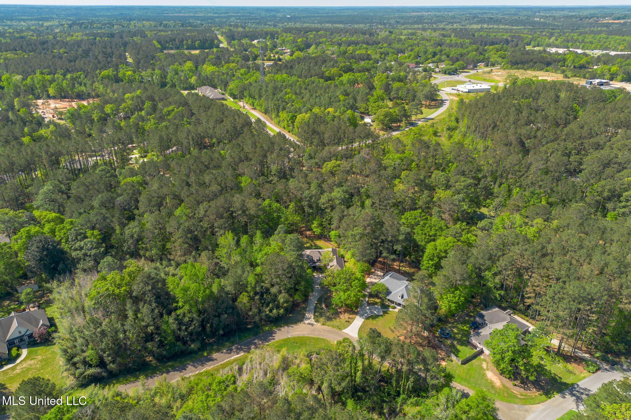 00 Steep Hollow, Hattiesburg, Mississippi image 5