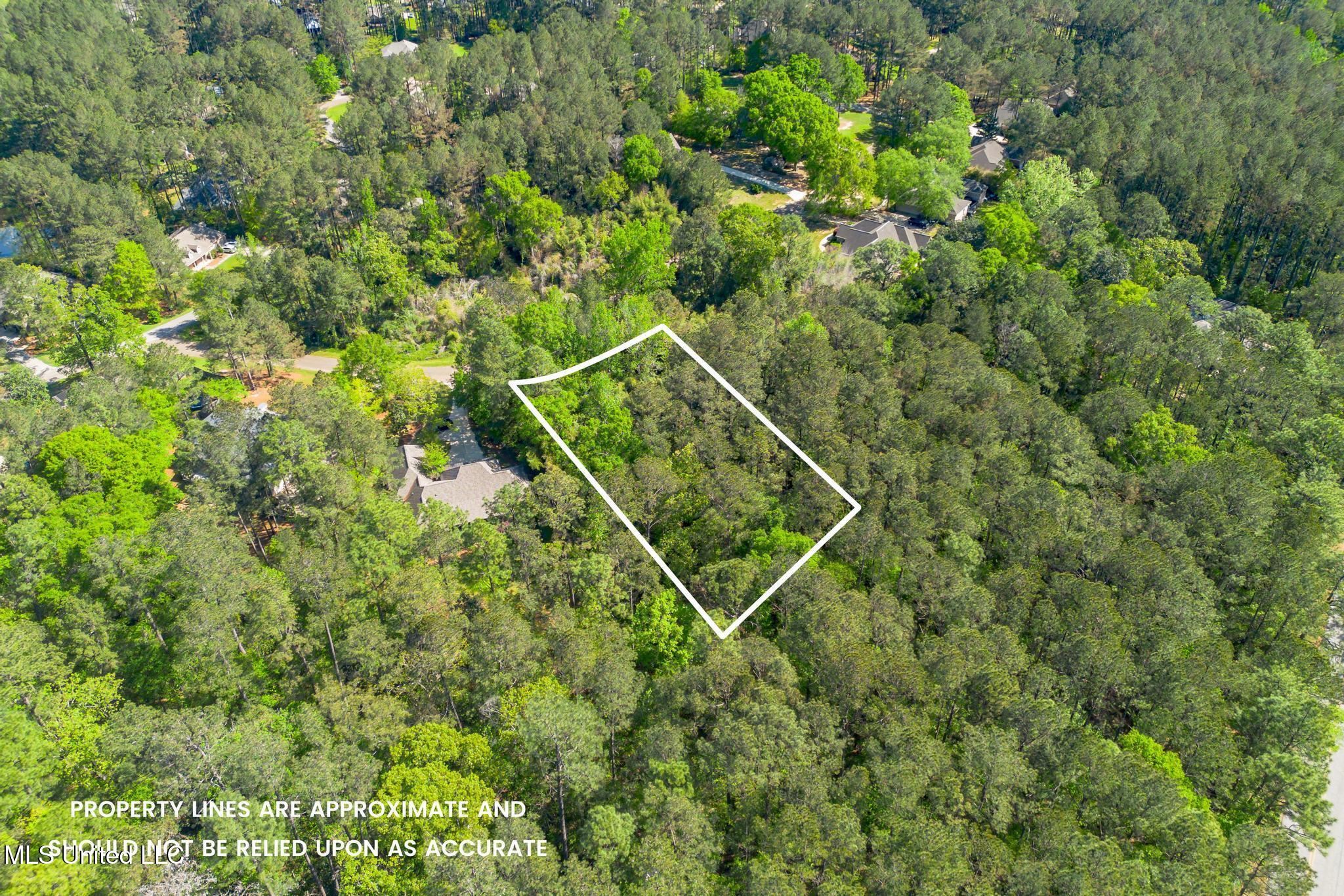 00 Steep Hollow, Hattiesburg, Mississippi image 9