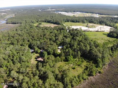 Lemon Road, Ocean Springs, Mississippi image 3
