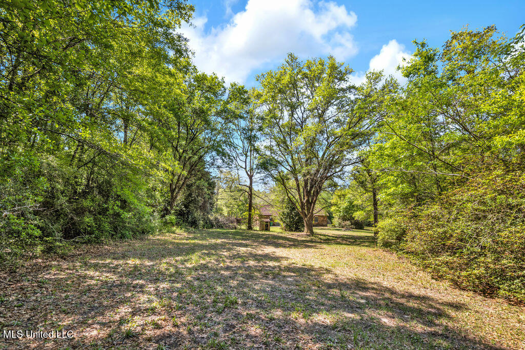6236 Juniper Drive, Vancleave, Mississippi image 23