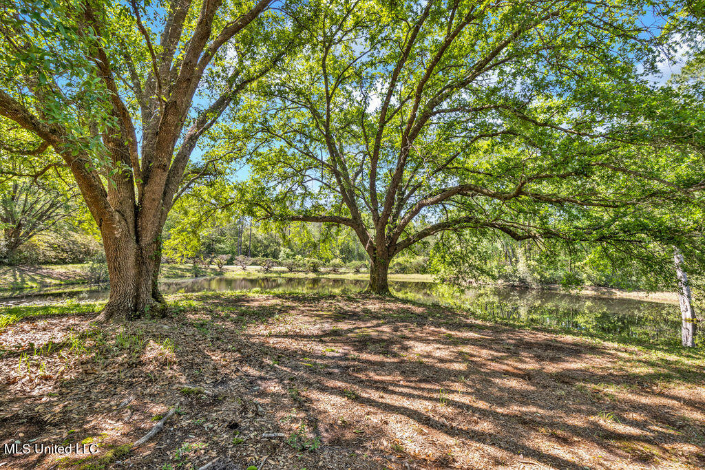 6236 Juniper Drive, Vancleave, Mississippi image 3