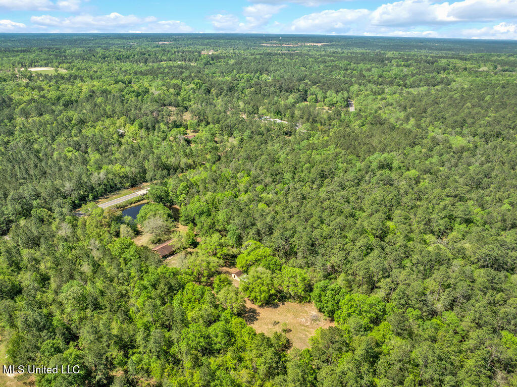 6236 Juniper Drive, Vancleave, Mississippi image 27