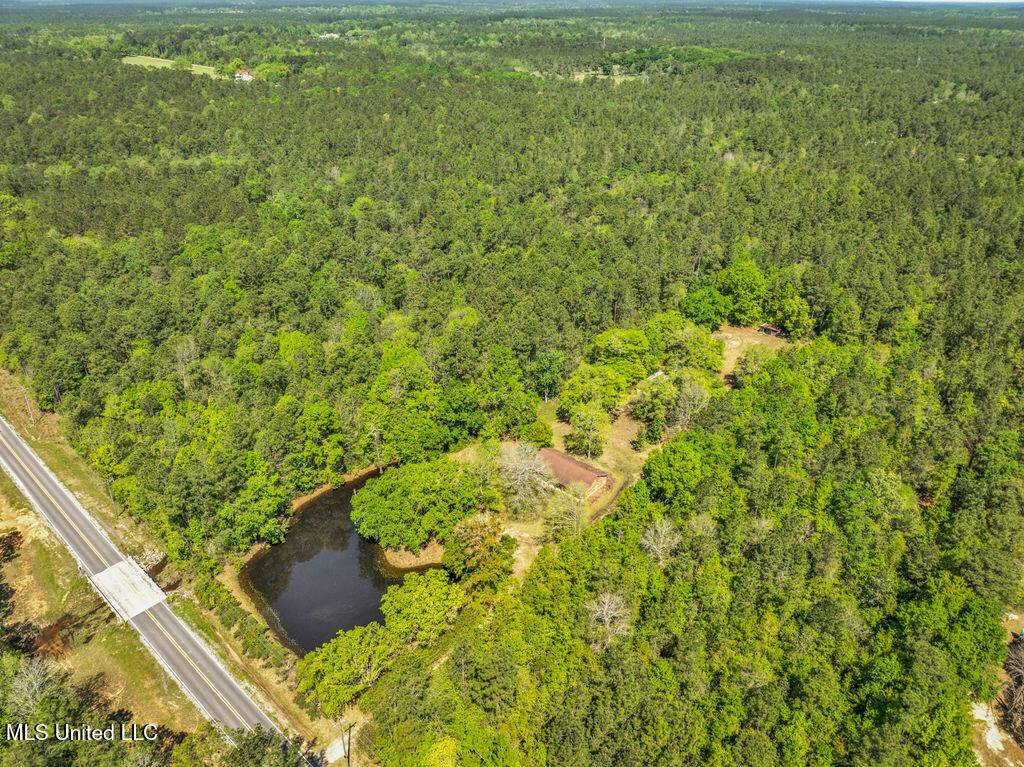 6236 Juniper Drive, Vancleave, Mississippi image 26