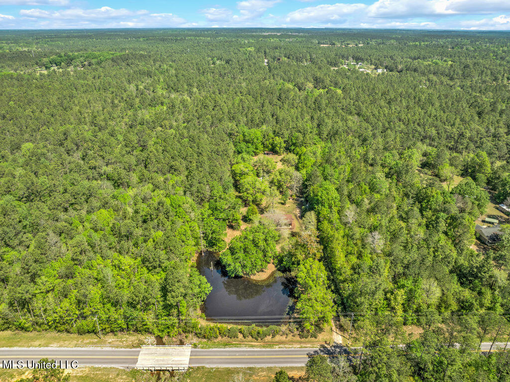 6236 Juniper Drive, Vancleave, Mississippi image 25